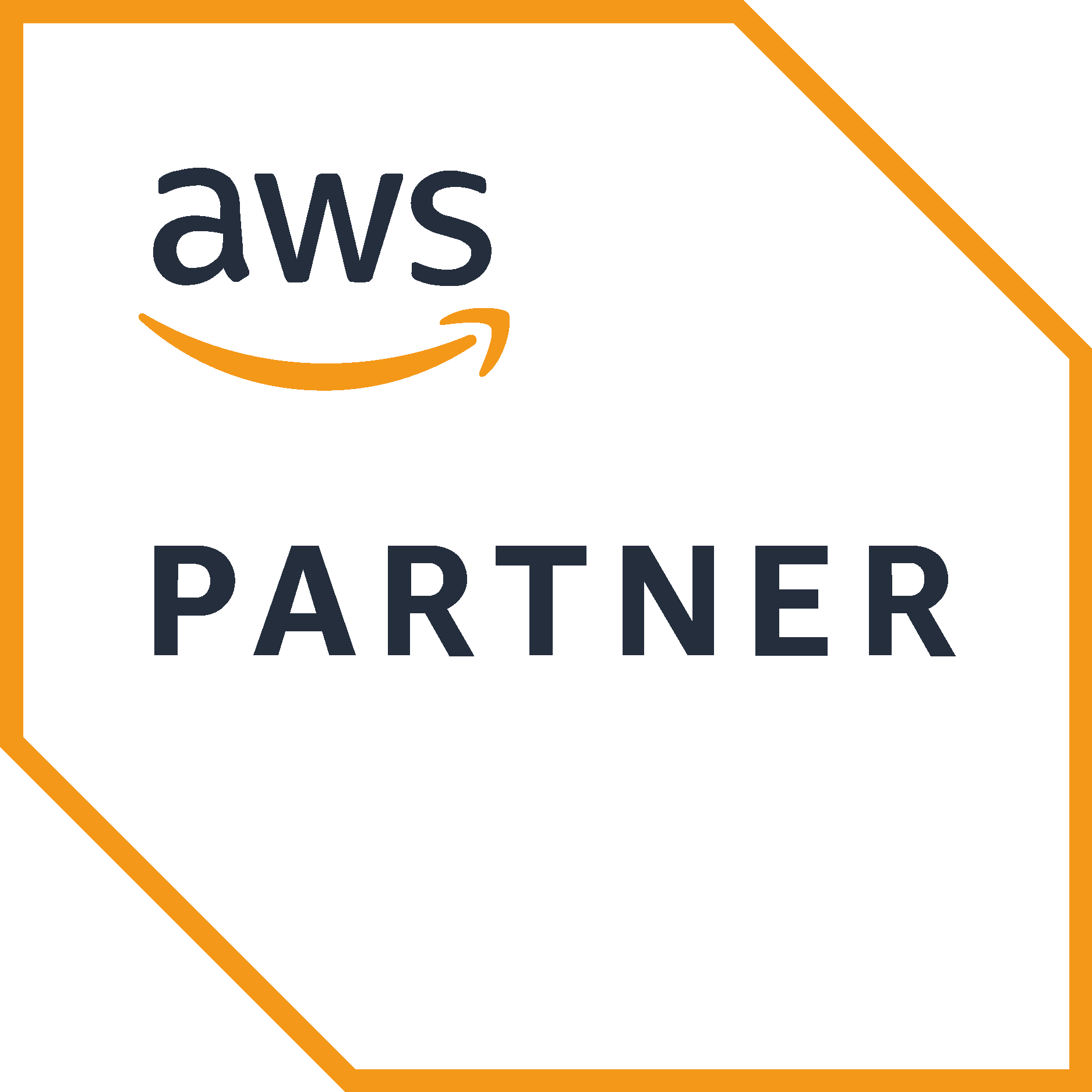 AWS Partner logo