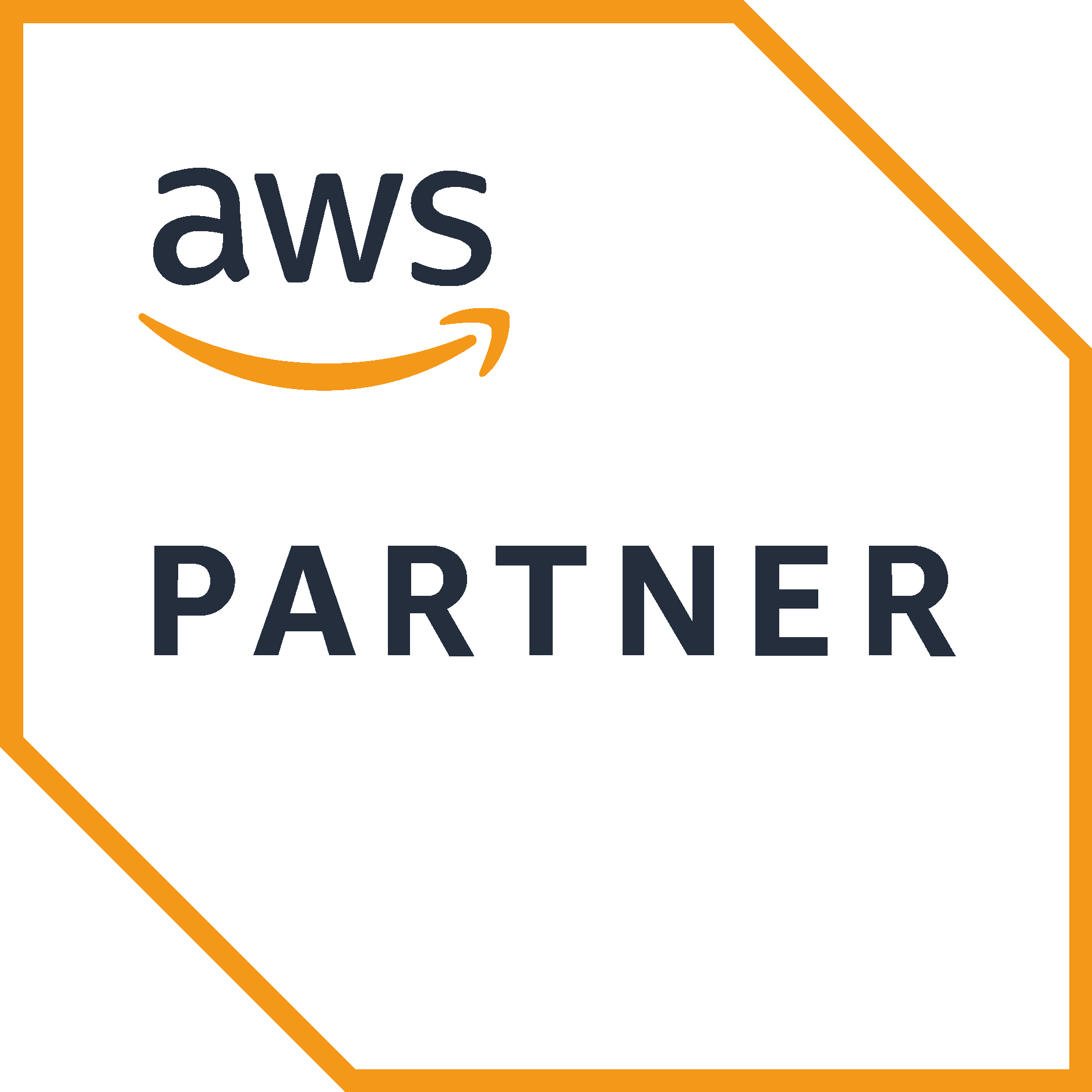 AWS Partner logo